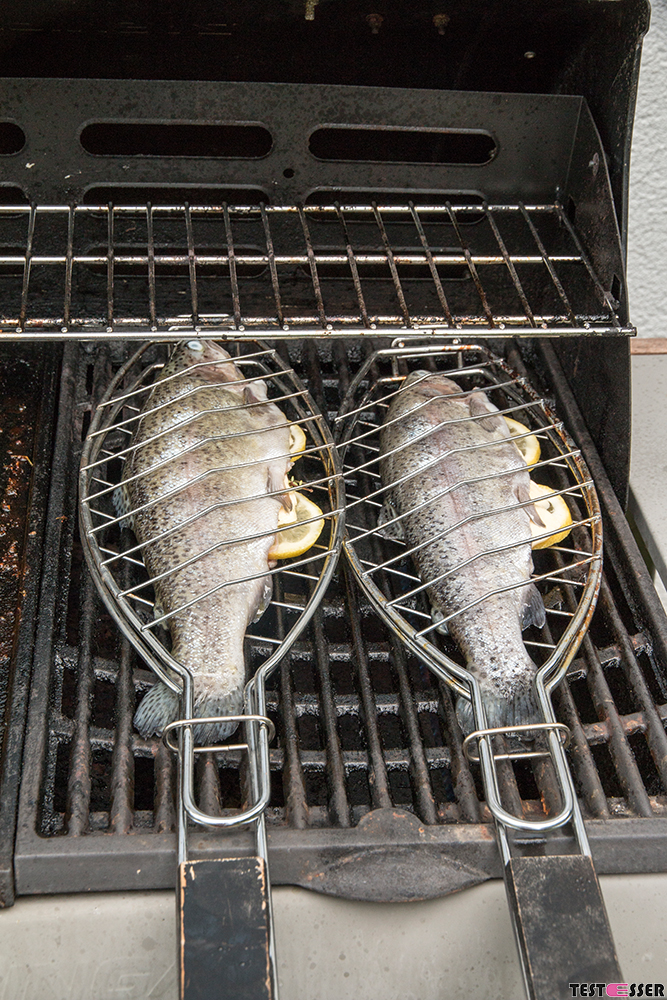 Forelle vom Grill - Testesser